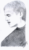 ydraw2.gif (225831 bytes)
